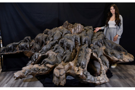 Very Large Elephant Hand Carving from a Solid Wood Tree Root.