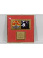 Lenny Kravitz Sales Recognition Award